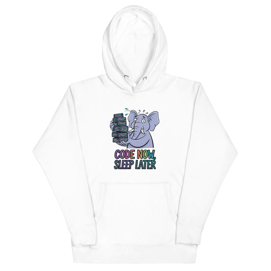 Unisex DEVELOPER Hoodie